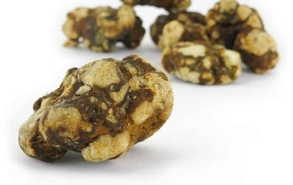 Magic Truffels - Smartshop Dr. Smart - Rotterdam